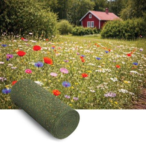 Prairies fleuries annuelles