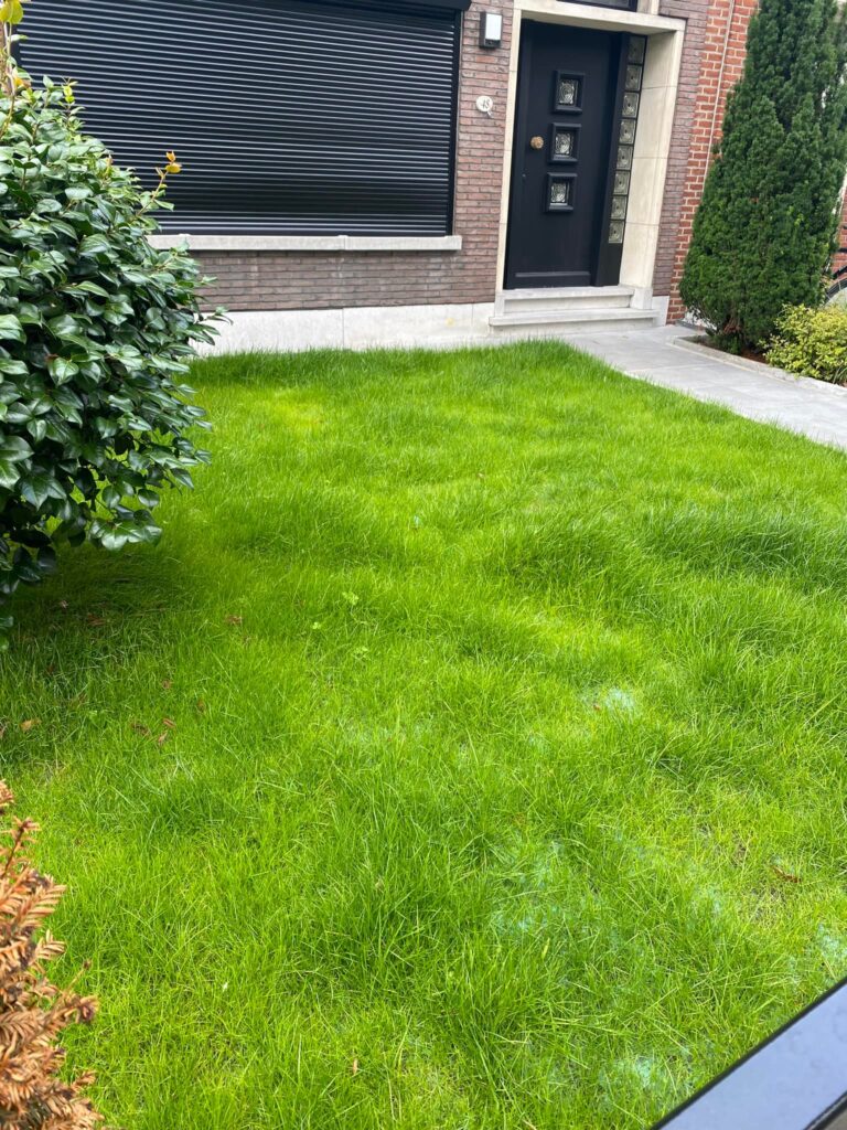 Mow the lawn - turf quick