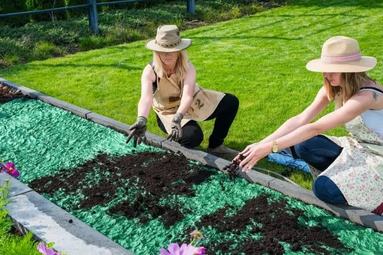 soil grass roll