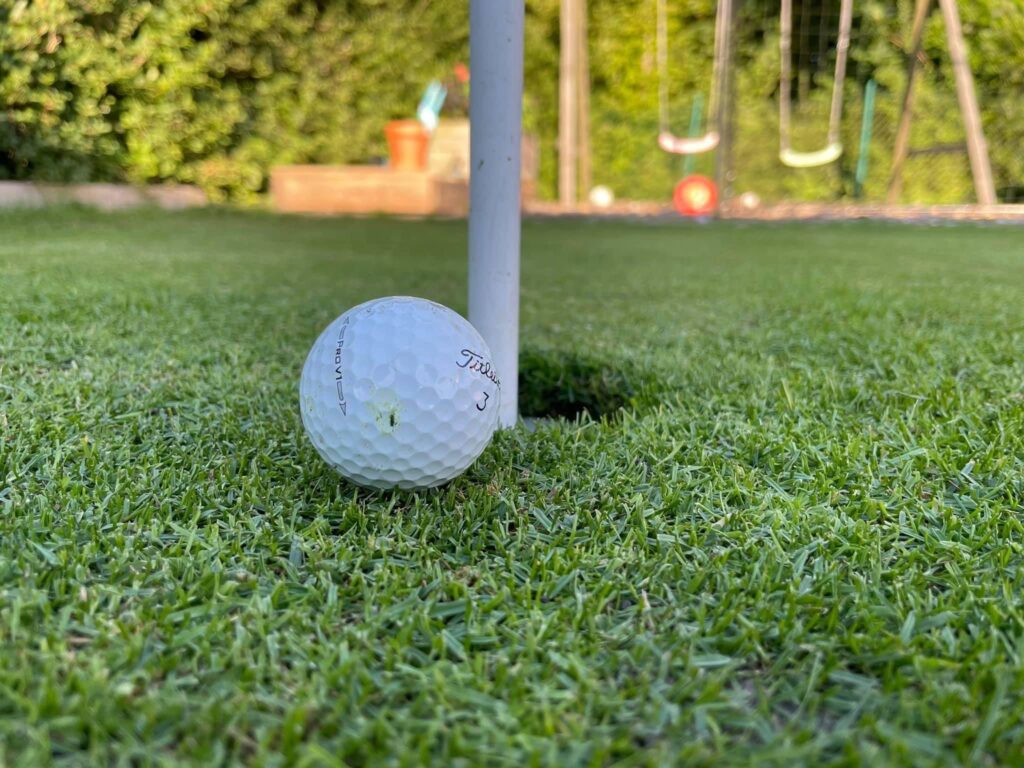 Gazon golf