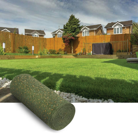 Gazon maison et jeux