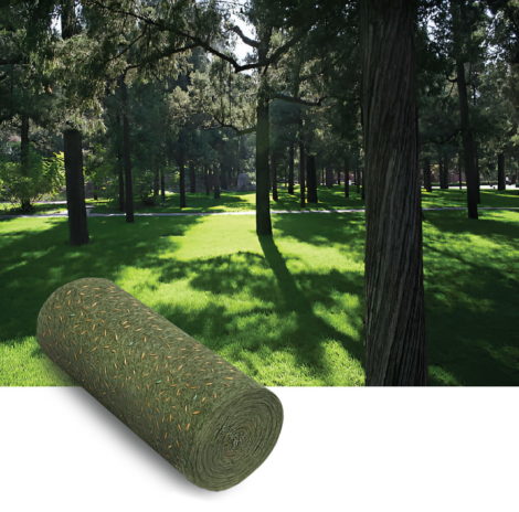 Gazon Terrain Ombragé